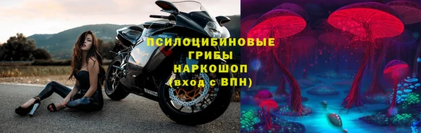 бошки Гусев