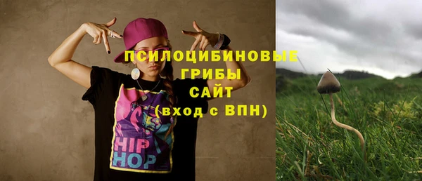 мескалин Гусь-Хрустальный