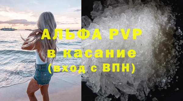 бошки Гусев