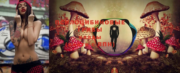 бошки Гусев