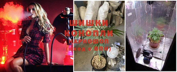 бошки Гусев