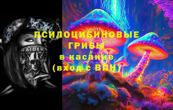 бошки Гусев