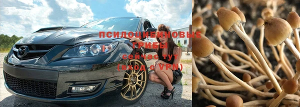 бошки Гусев