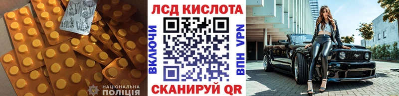 LSD-25 экстази ecstasy  Купить где  Приморск 